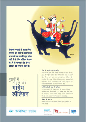 पुराणों में गंगा के जीव -  गांगेय डॉलफिन